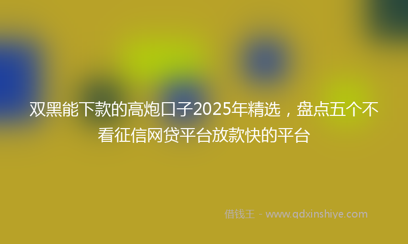 双黑能下款的高炮口子2025年精选，盘点五个不看征信网贷平台放款快的平台