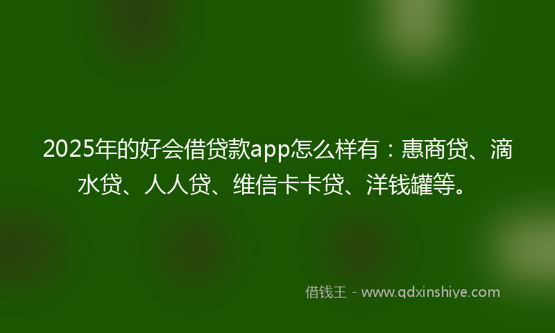 2025年的好会借贷款app怎么样有：惠商贷、滴水贷、人人贷、维信卡卡贷、洋钱罐等。