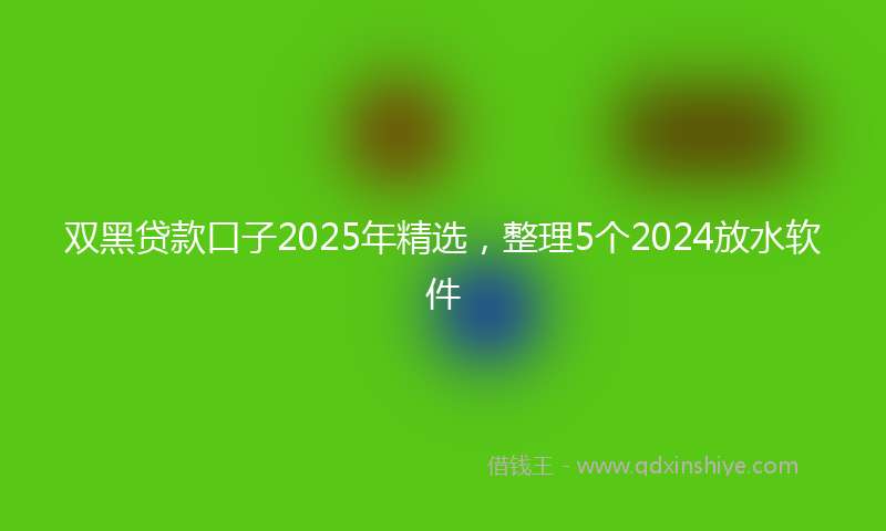 双黑贷款口子2025年精选，整理5个2024放水软件