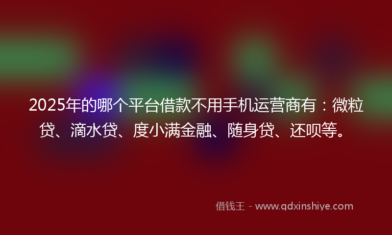 2025年的哪个平台借款不用手机运营商有：微粒贷、滴水贷、度小满金融、随身贷、还呗等。