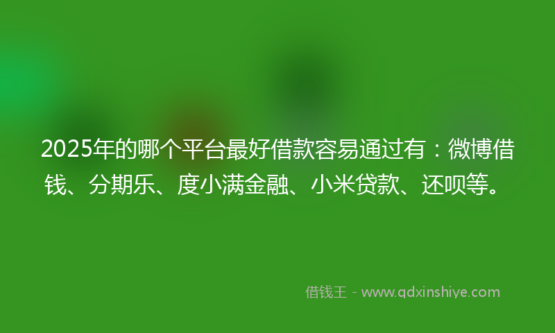 2025年的哪个平台最好借款容易通过有：微博借钱、分期乐、度小满金融、小米贷款、还呗等。