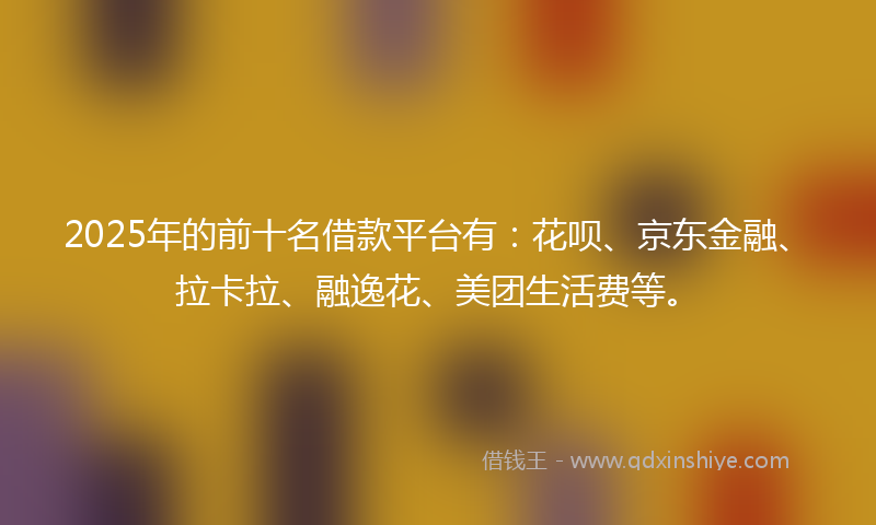 2025年的前十名借款平台有：花呗、京东金融、拉卡拉、融逸花、美团生活费等。