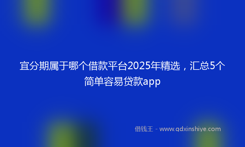 宜分期属于哪个借款平台2025年精选，汇总5个简单容易贷款app