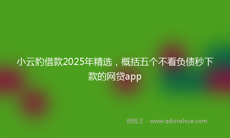 小云豹借款2025年精选，概括五个不看负债秒下款的网贷app