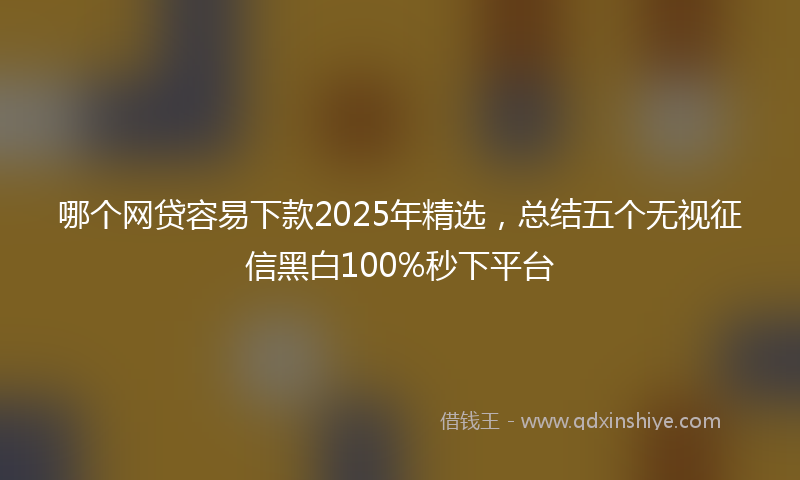 哪个网贷容易下款2025年精选，总结五个无视征信黑白100%秒下平台
