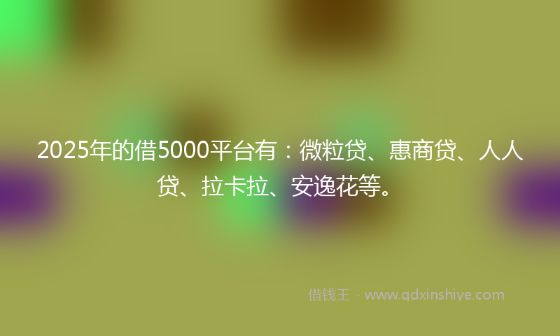 2025年的借5000平台有：微粒贷、惠商贷、人人贷、拉卡拉、安逸花等。