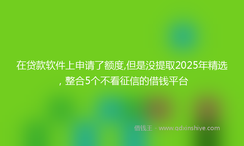在贷款软件上申请了额度,但是没提取2025年精选，整合5个不看征信的借钱平台