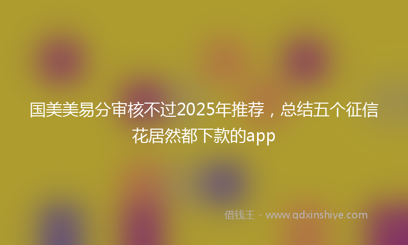 国美美易分审核不过2025年推荐，总结五个征信花居然都下款的app