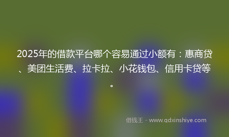 2025年的借款平台哪个容易通过小额有：惠商贷、美团生活费、拉卡拉、小花钱包、信用卡贷等。