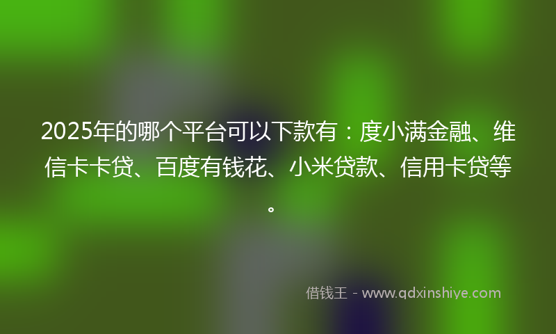 2025年的哪个平台可以下款有：度小满金融、维信卡卡贷、百度有钱花、小米贷款、信用卡贷等。