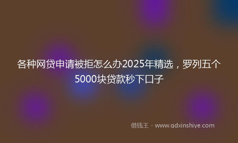 各种网贷申请被拒怎么办2025年精选，罗列五个5000块贷款秒下口子