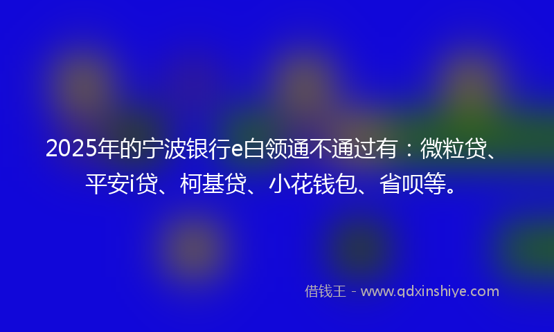 2025年的宁波银行e白领通不通过有：微粒贷、平安i贷、柯基贷、小花钱包、省呗等。