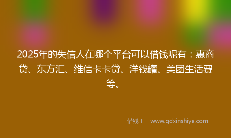 2025年的失信人在哪个平台可以借钱呢有：惠商贷、东方汇、维信卡卡贷、洋钱罐、美团生活费等。