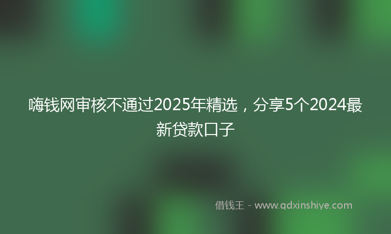 嗨钱网审核不通过2025年精选，分享5个2024最新贷款口子