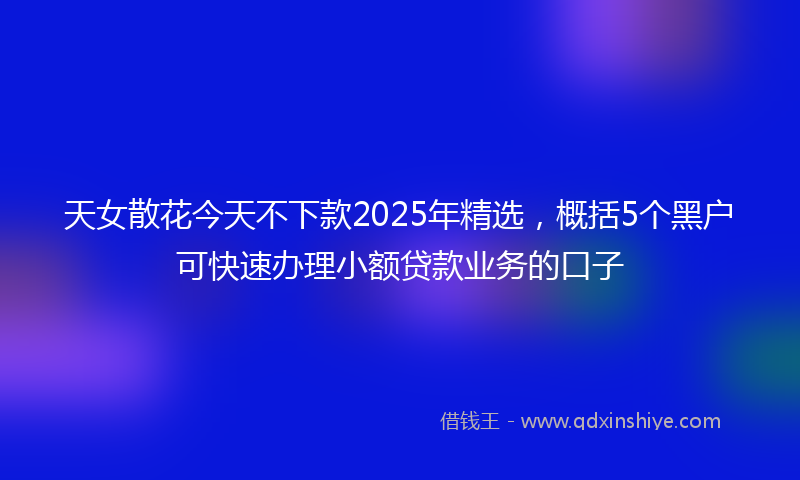 天女散花今天不下款2025年精选，概括5个黑户可快速办理小额贷款业务的口子