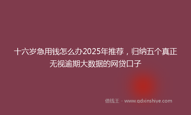 十六岁急用钱怎么办2025年推荐，归纳五个真正无视逾期大数据的网贷口子