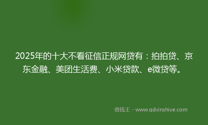 2025年的十大不看征信正规网贷有：拍拍贷、京东金融、美团生活费、小米贷款、e微贷等。