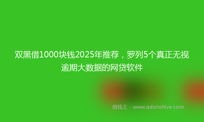 双黑借1000块钱2025年推荐，罗列5个真正无视逾期大数据的网贷软件
