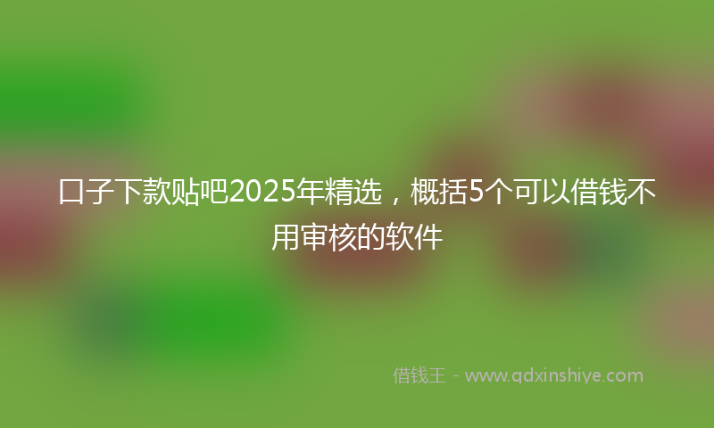口子下款贴吧2025年精选，概括5个可以借钱不用审核的软件