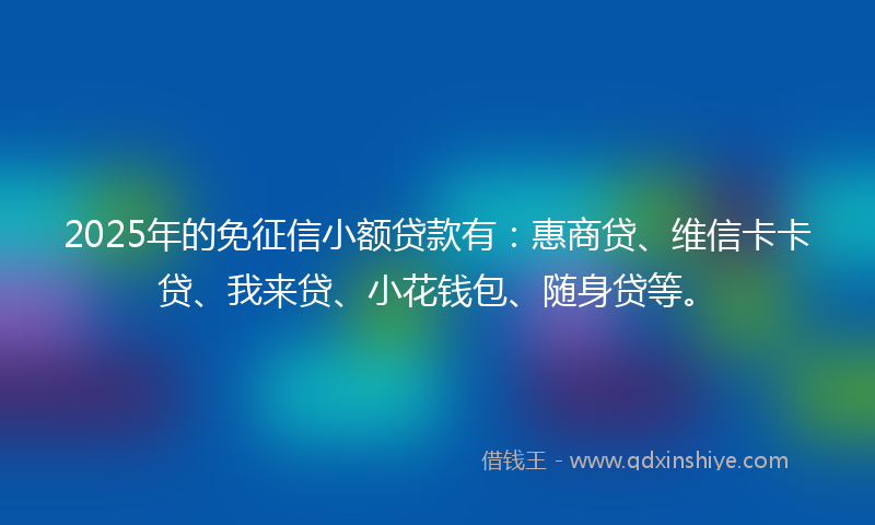 2025年的免征信小额贷款有：惠商贷、维信卡卡贷、我来贷、小花钱包、随身贷等。