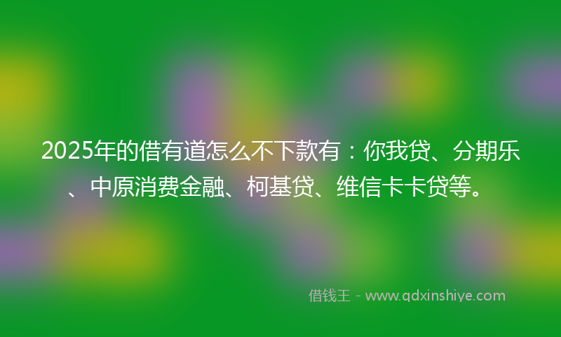 2025年的借有道怎么不下款有：你我贷、分期乐、中原消费金融、柯基贷、维信卡卡贷等。