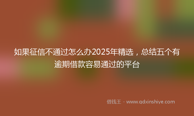 如果征信不通过怎么办2025年精选，总结五个有逾期借款容易通过的平台