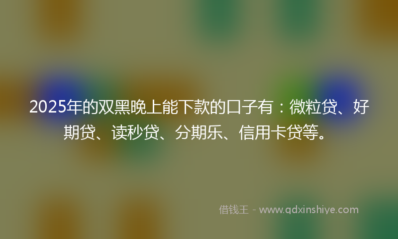 2025年的双黑晚上能下款的口子有：微粒贷、好期贷、读秒贷、分期乐、信用卡贷等。