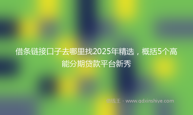 借条链接口子去哪里找2025年精选，概括5个高能分期贷款平台新秀