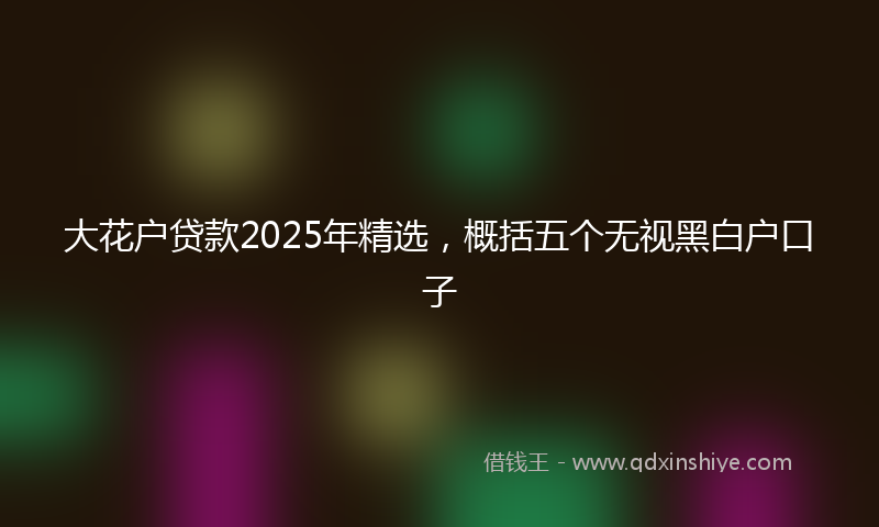 大花户贷款2025年精选，概括五个无视黑白户口子