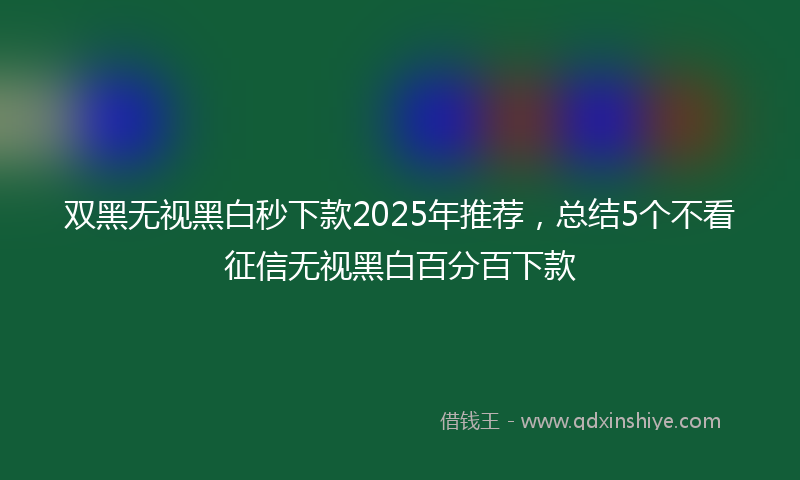 双黑无视黑白秒下款2025年推荐，总结5个不看征信无视黑白百分百下款