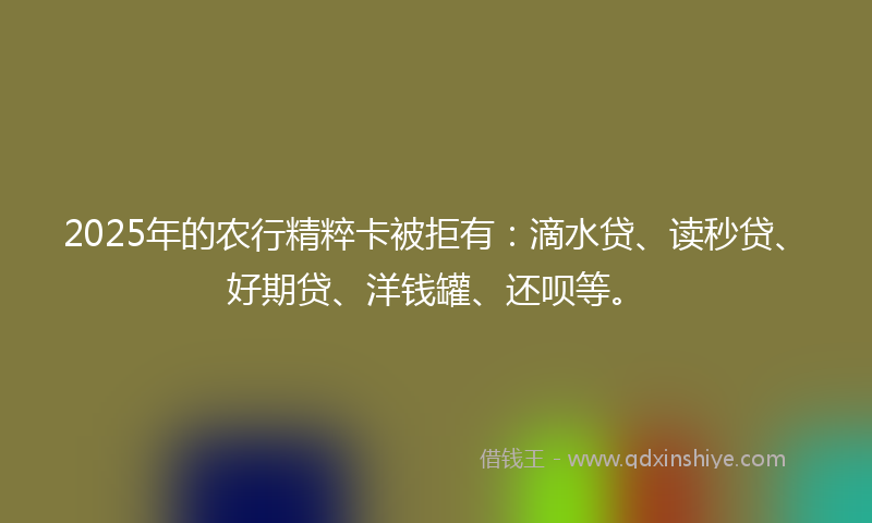 2025年的农行精粹卡被拒有：滴水贷、读秒贷、好期贷、洋钱罐、还呗等。