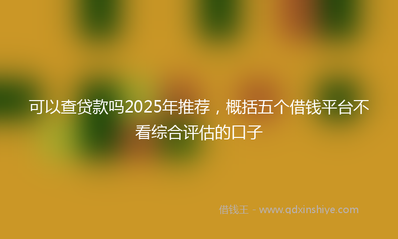 可以查贷款吗2025年推荐，概括五个借钱平台不看综合评估的口子