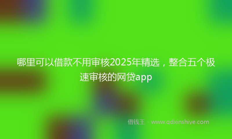 哪里可以借款不用审核2025年精选，整合五个极速审核的网贷app
