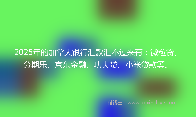 2025年的加拿大银行汇款汇不过来有：微粒贷、分期乐、京东金融、功夫贷、小米贷款等。