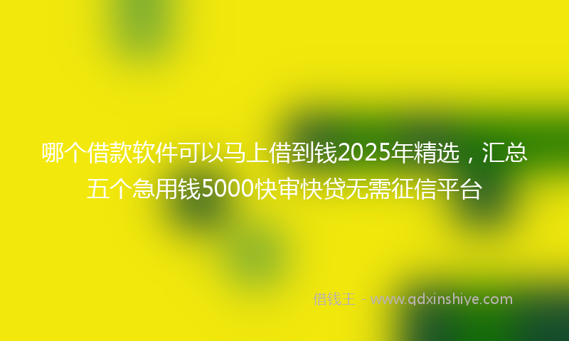 哪个借款软件可以马上借到钱2025年精选，汇总五个急用钱5000快审快贷无需征信平台