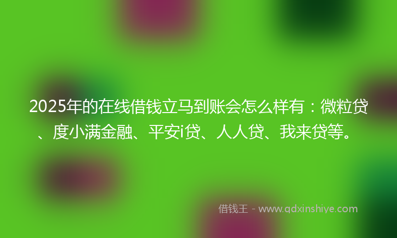 2025年的在线借钱立马到账会怎么样有：微粒贷、度小满金融、平安i贷、人人贷、我来贷等。