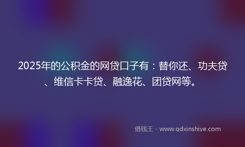 2025年的公积金的网贷口子有：替你还、功夫贷、维信卡卡贷、融逸花、团贷网等。