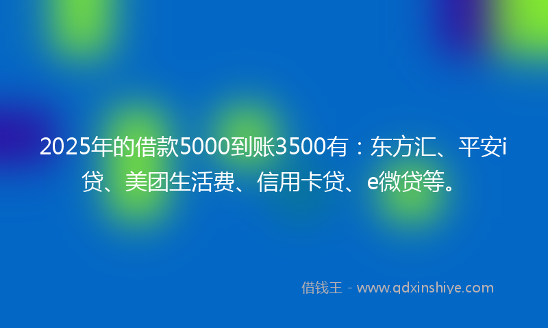 2025年的借款5000到账3500有：东方汇、平安i贷、美团生活费、信用卡贷、e微贷等。