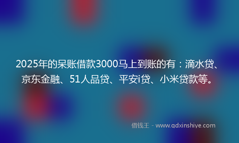 2025年的呆账借款3000马上到账的有：滴水贷、京东金融、51人品贷、平安i贷、小米贷款等。