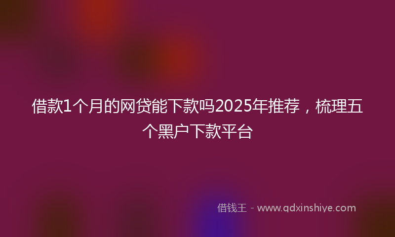 借款1个月的网贷能下款吗2025年推荐，梳理五个黑户下款平台