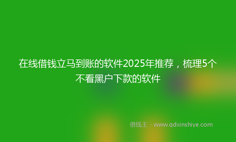 在线借钱立马到账的软件2025年推荐，梳理5个不看黑户下款的软件