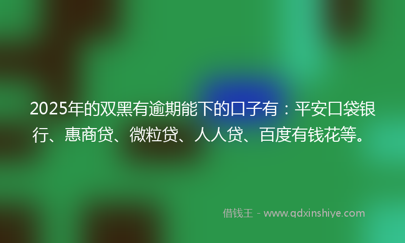 2025年的双黑有逾期能下的口子有：平安口袋银行、惠商贷、微粒贷、人人贷、百度有钱花等。