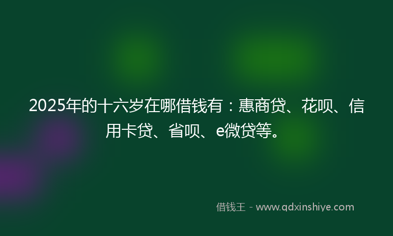 2025年的十六岁在哪借钱有：惠商贷、花呗、信用卡贷、省呗、e微贷等。