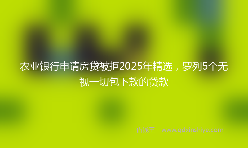 农业银行申请房贷被拒2025年精选，罗列5个无视一切包下款的贷款
