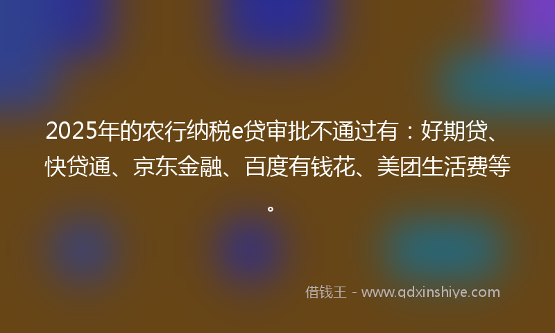 2025年的农行纳税e贷审批不通过有：好期贷、快贷通、京东金融、百度有钱花、美团生活费等。