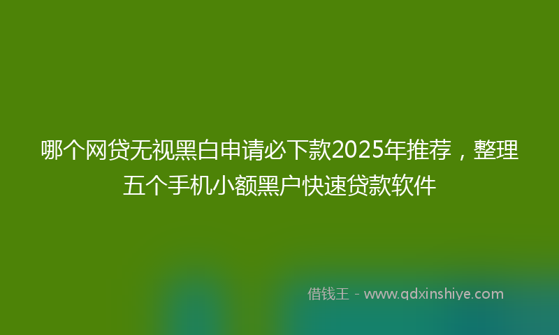 哪个网贷无视黑白申请必下款2025年推荐，整理五个手机小额黑户快速贷款软件