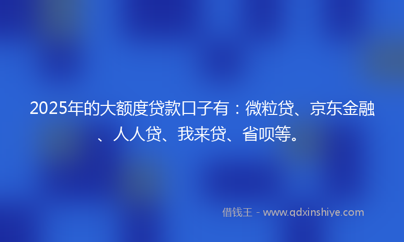 2025年的大额度贷款口子有：微粒贷、京东金融、人人贷、我来贷、省呗等。