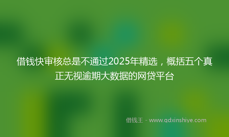 借钱快审核总是不通过2025年精选，概括五个真正无视逾期大数据的网贷平台