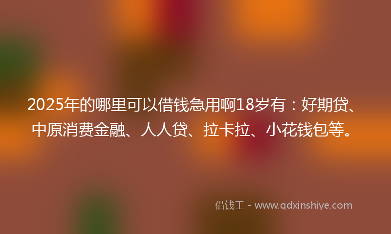 2025年的哪里可以借钱急用啊18岁有：好期贷、中原消费金融、人人贷、拉卡拉、小花钱包等。