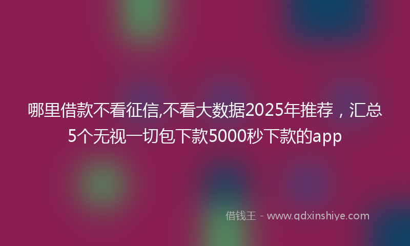 哪里借款不看征信,不看大数据2025年推荐，汇总5个无视一切包下款5000秒下款的app